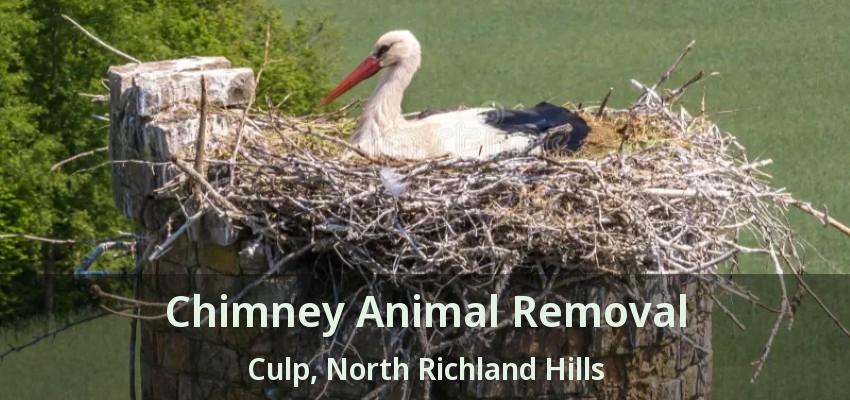 Chimney Animal Removal Culp, North Richland Hills - TX