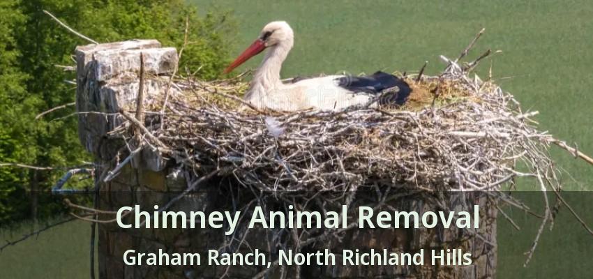 Chimney Animal Removal Graham Ranch, North Richland Hills - TX