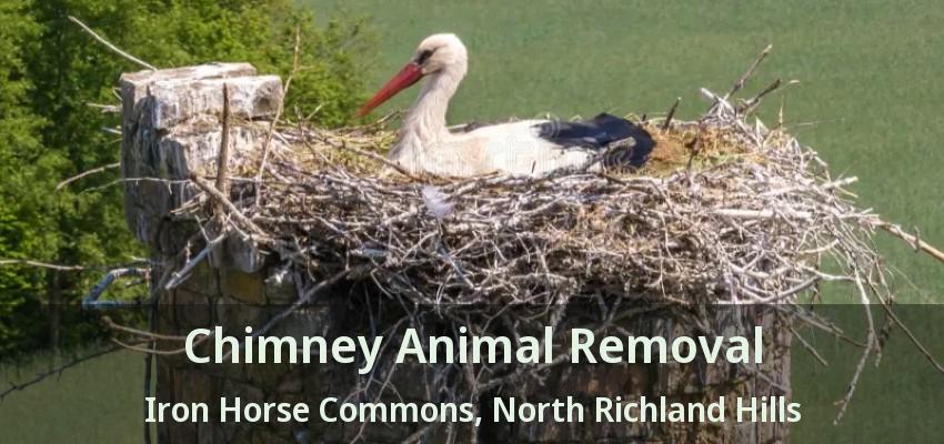 Chimney Animal Removal Iron Horse Commons, North Richland Hills - TX