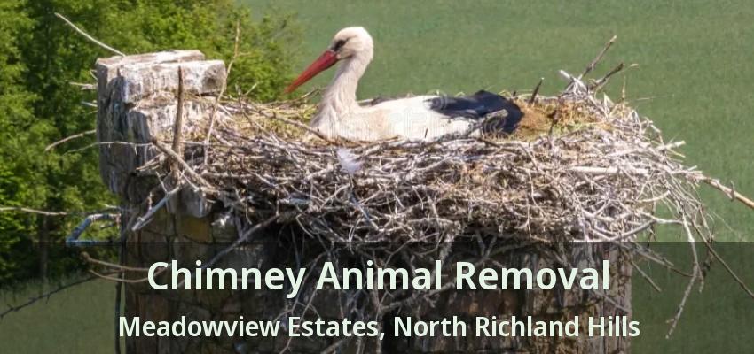 Chimney Animal Removal Meadowview Estates, North Richland Hills - TX