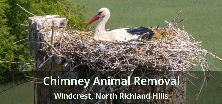 Chimney Animal Removal Windcrest, North Richland Hills - TX