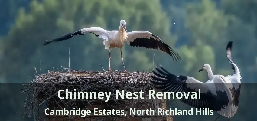 Chimney Nest Removal Cambridge Estates, North Richland Hills - TX