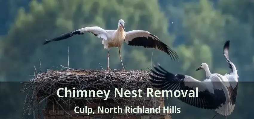 Chimney Nest Removal Culp, North Richland Hills - TX