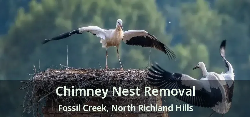 Chimney Nest Removal Fossil Creek, North Richland Hills - TX