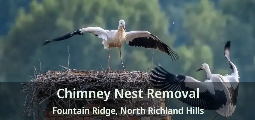 Chimney Nest Removal Fountain Ridge, North Richland Hills - TX