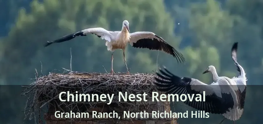 Chimney Nest Removal Graham Ranch, North Richland Hills - TX