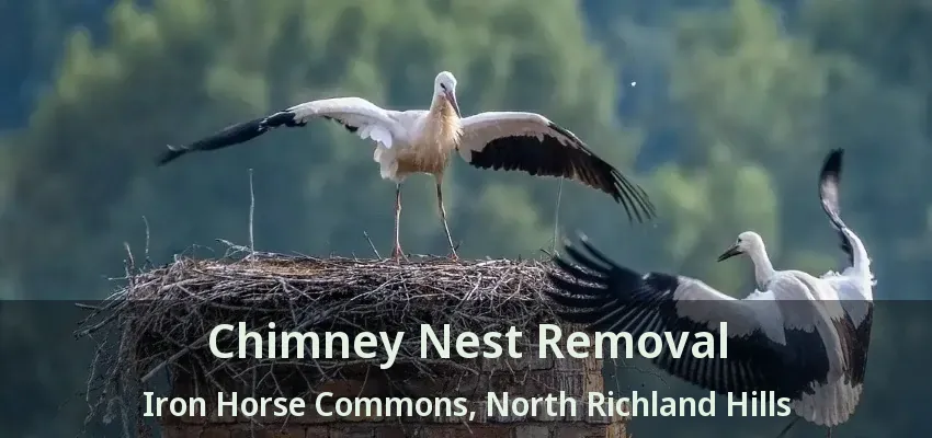 Chimney Nest Removal Iron Horse Commons, North Richland Hills - TX