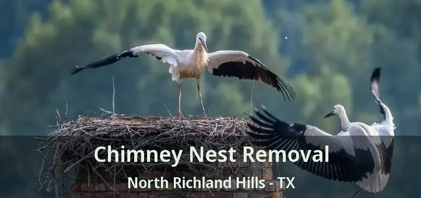 Chimney Nest Removal North Richland Hills - TX