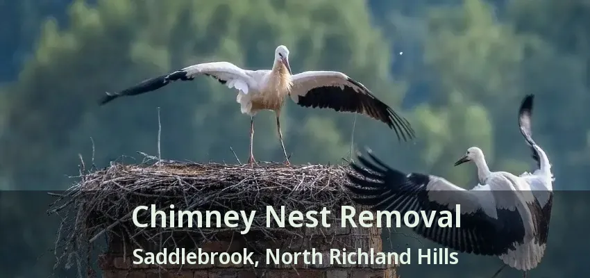 Chimney Nest Removal Saddlebrook, North Richland Hills - TX