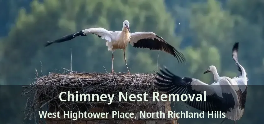 Chimney Nest Removal West Hightower Place, North Richland Hills - TX