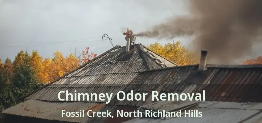 Chimney Odor Removal Fossil Creek, North Richland Hills - TX
