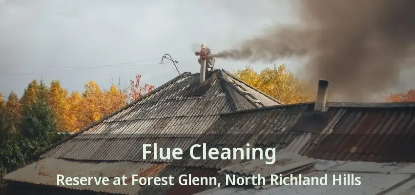 Flue Cleaning Reserve at Forest Glenn, North Richland Hills - TX