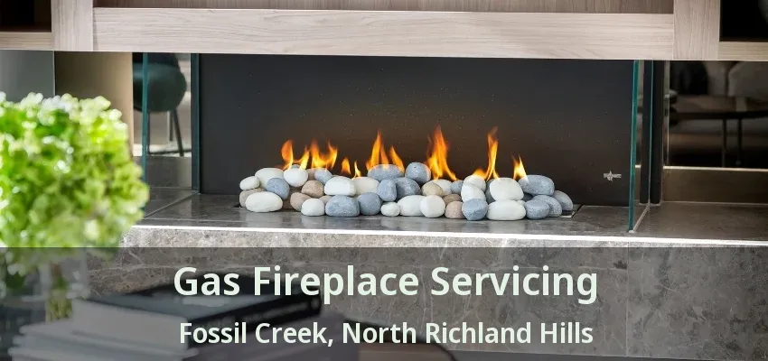 Gas Fireplace Servicing Fossil Creek, North Richland Hills - TX