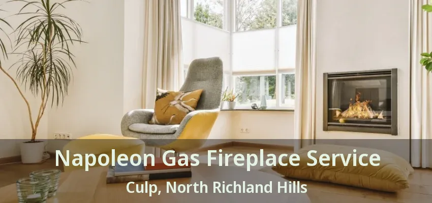 Napoleon Gas Fireplace Service Culp, North Richland Hills - TX