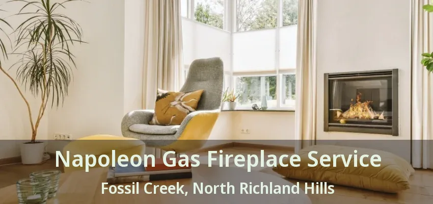 Napoleon Gas Fireplace Service Fossil Creek, North Richland Hills - TX