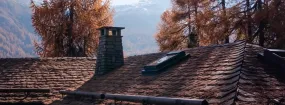 Chimney Animal Removal North Richland Hills
