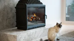 Wood Burning Fireplace Repair North Richland Hills